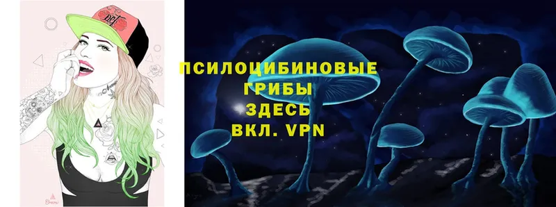 Галлюциногенные грибы прущие грибы  гидра маркетплейс  Томмот 